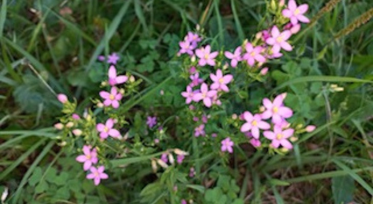 Zakaj ne zmorem reči NE?